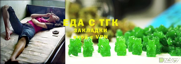 индика Абаза