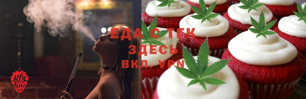 индика Абаза