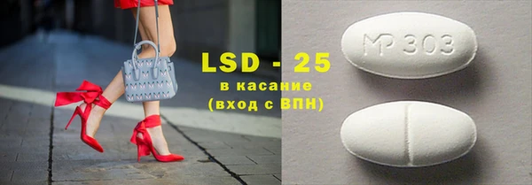 индика Абаза