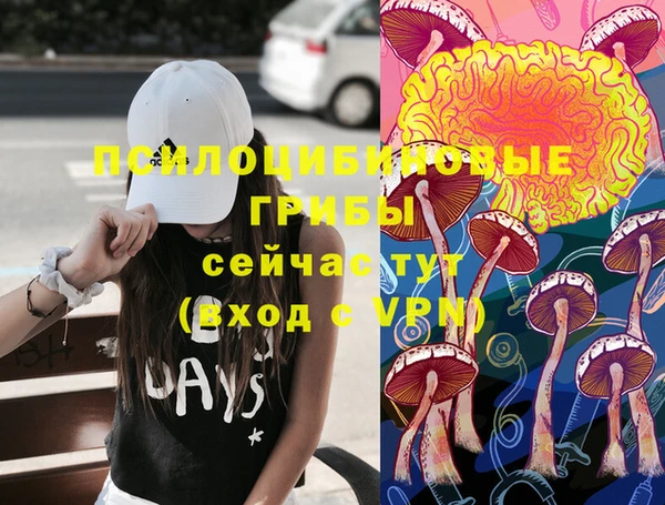 гидра Алексеевка