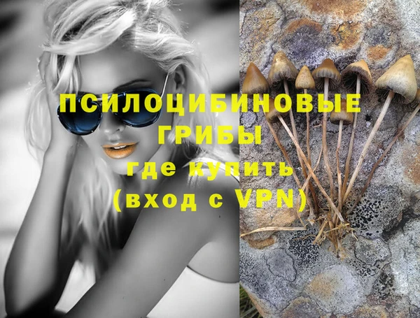 гидра Алексеевка