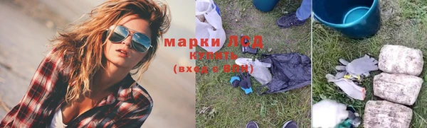 индика Абаза