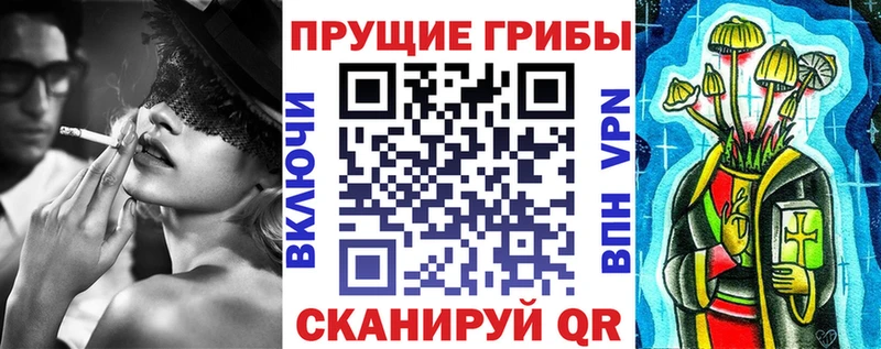 продажа наркотиков  Ардон  mega рабочий сайт  Галлюциногенные грибы ЛСД 